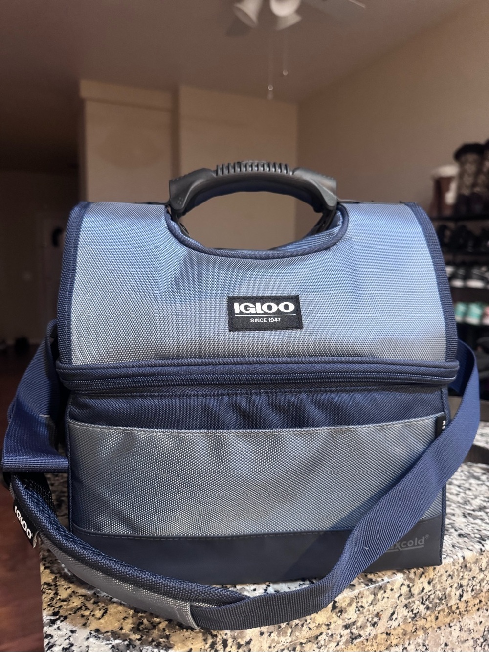 Igloo Blue and Navy Soft-Sided Travel Cooler Tote